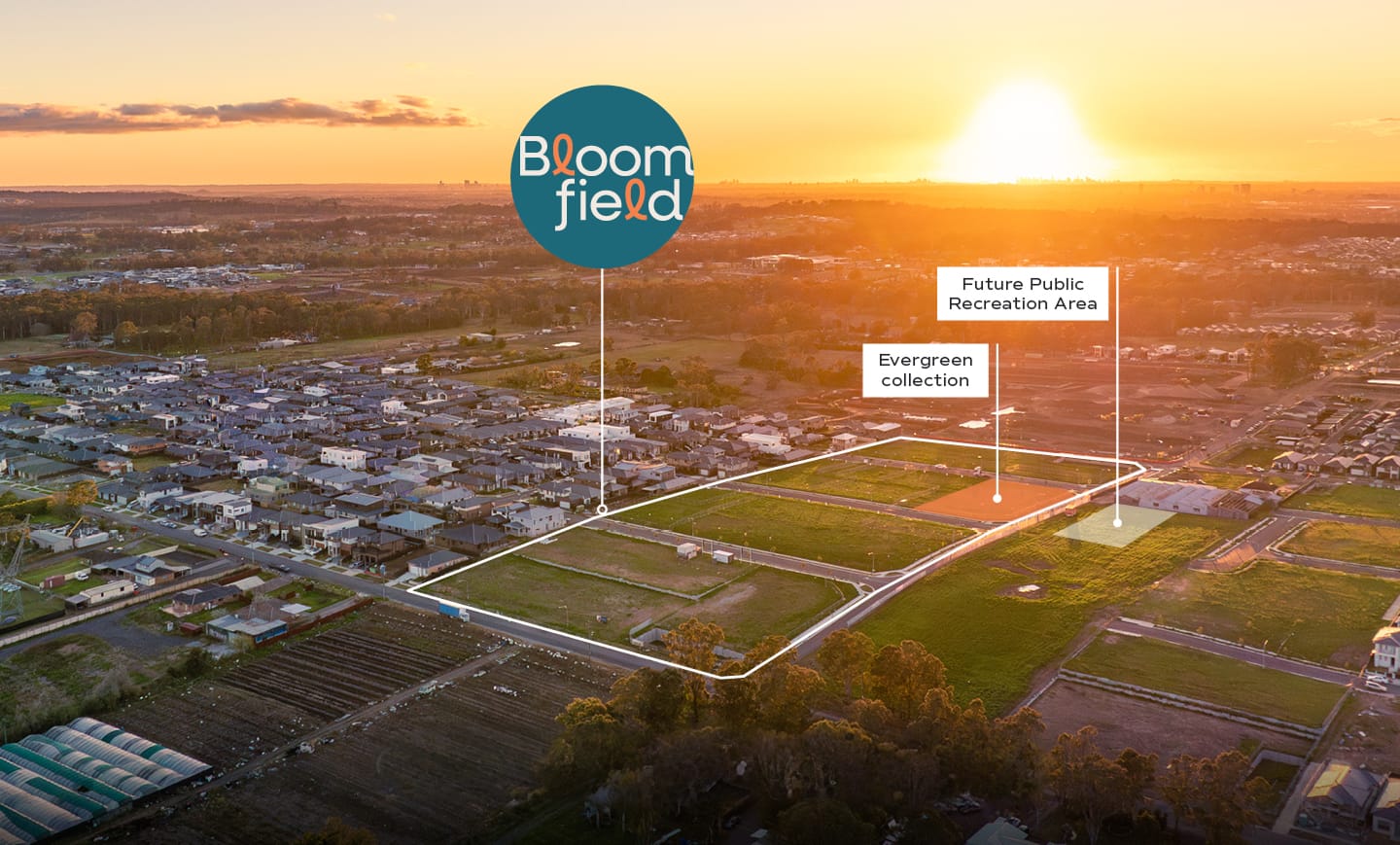 ブルームフィールド