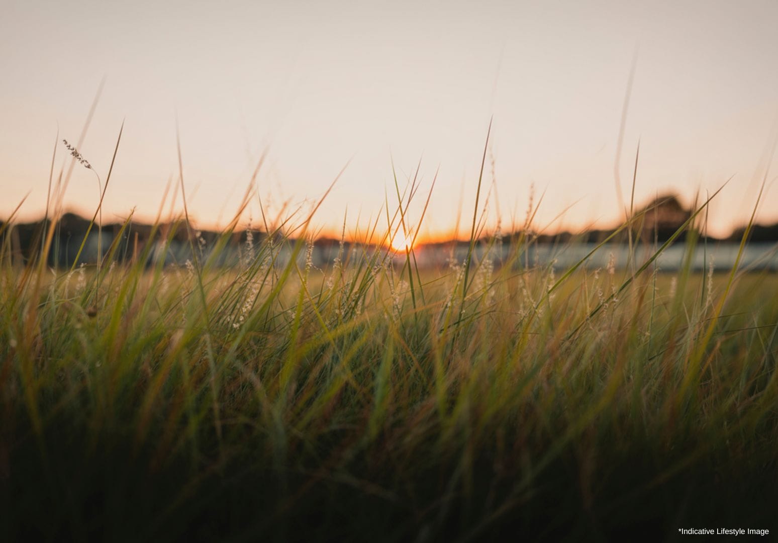 ウェルズ・ストリート、ピット・タウン